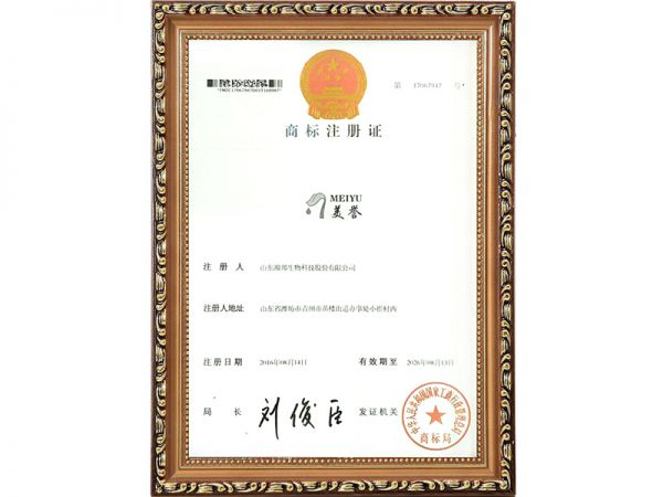 資質(zhì)證書(shū)